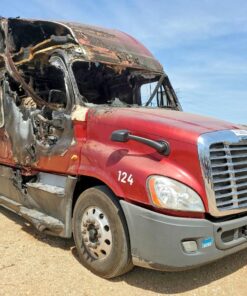 2018 Freightliner Cascadia 125 Semi Truck